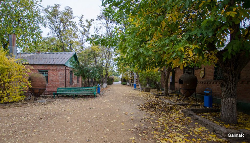 Археологический музей заповедник Танаис